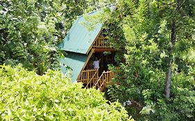Eco Village