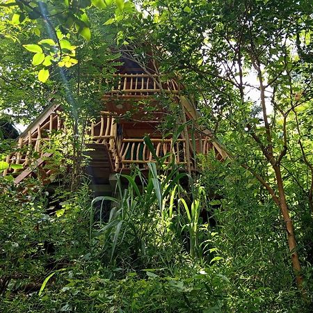 Eco Village Ella Esterno foto