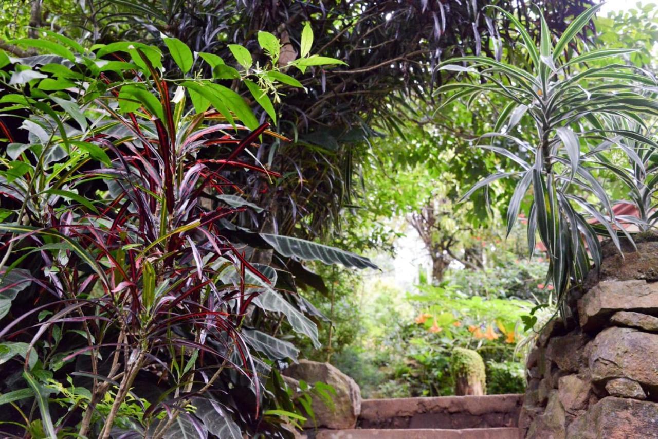 Eco Village Ella Esterno foto