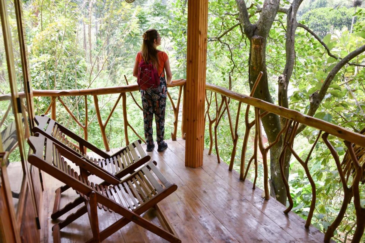 Eco Village Ella Esterno foto