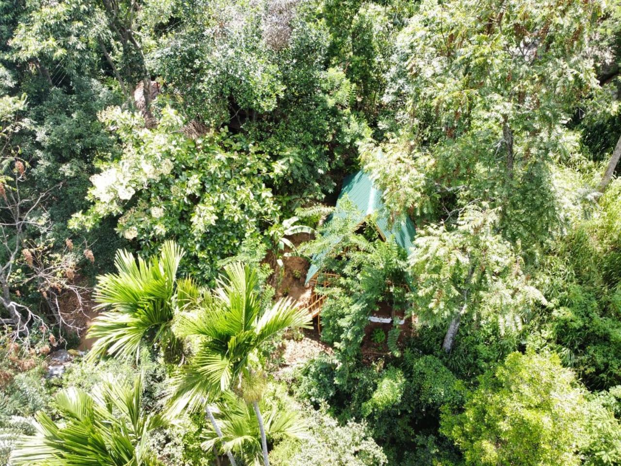 Eco Village Ella Esterno foto
