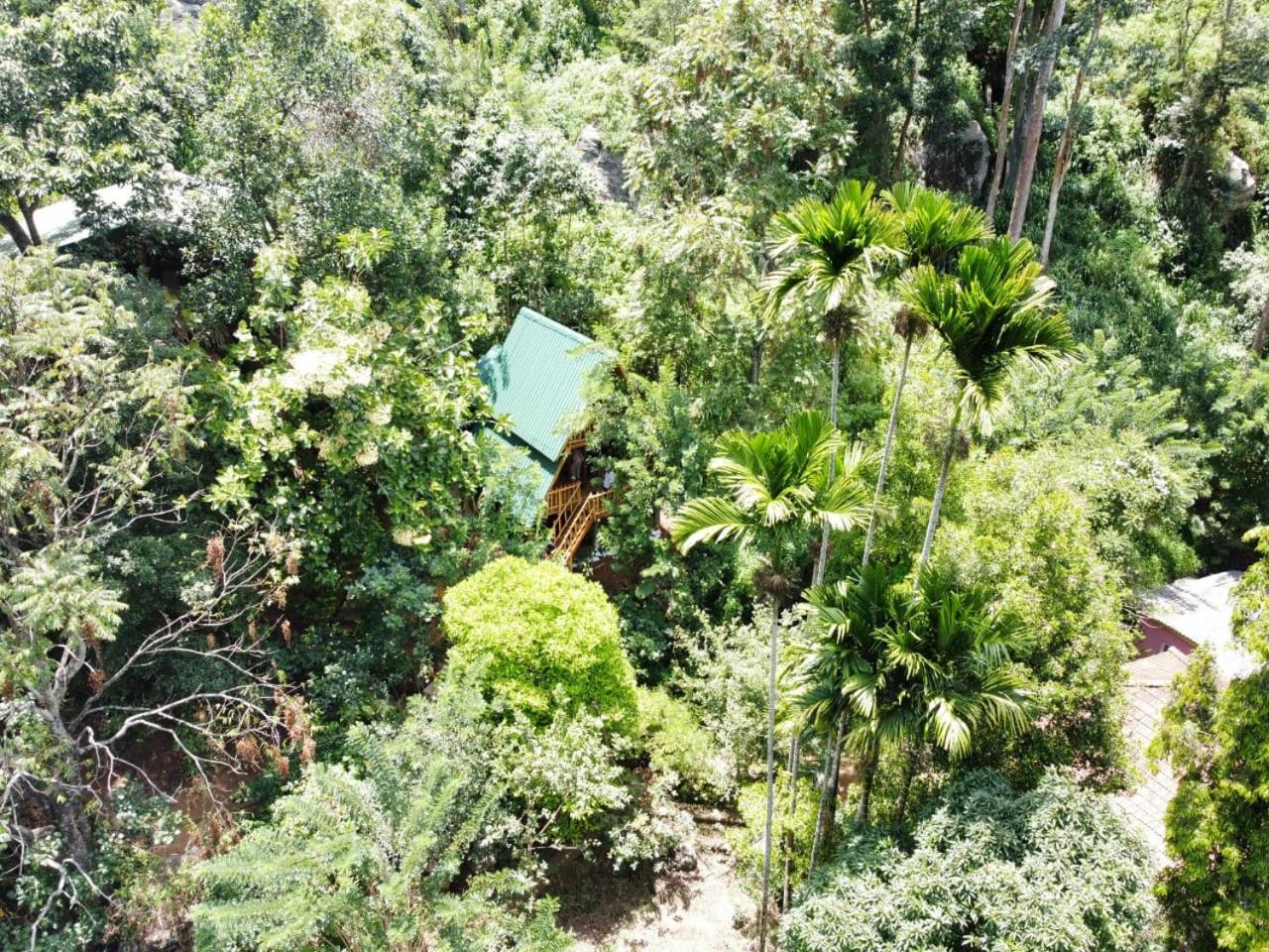 Eco Village Ella Esterno foto